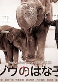 大象花子 海报