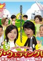 长婚之路海报
