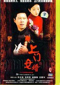 上门女婿 海报