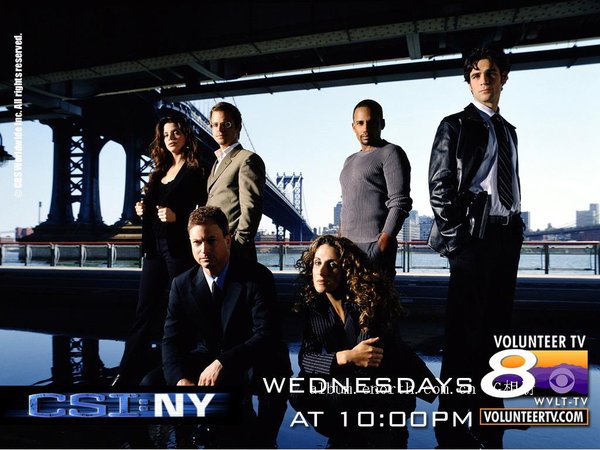 犯罪现场调查:纽约 第三季(CSI:New york seas