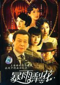 暴雨梨花 海报