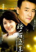 婚后五年 海报