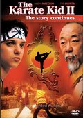 小子难缠II 海报