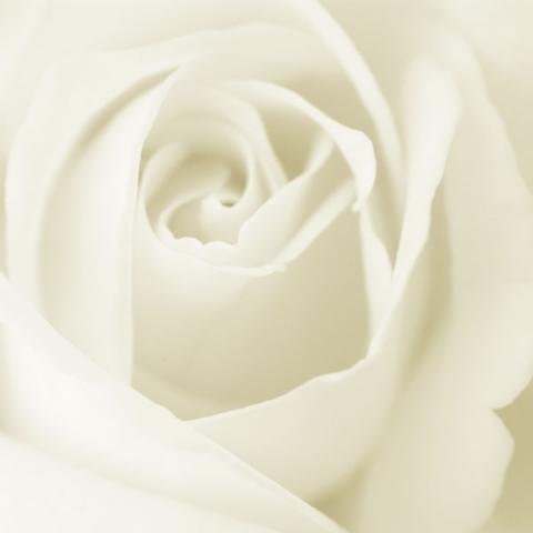 IPB Image