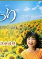 向日葵