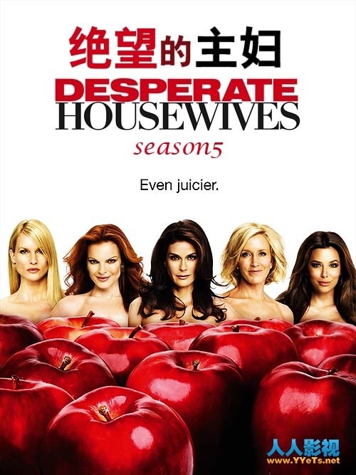 绝望主妇 第五季